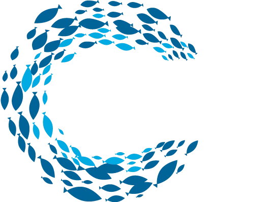 Five Oceans LLC