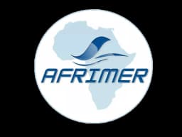 أفريمير (AFRIMER)