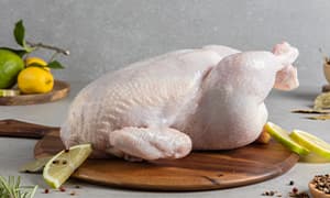 دجاج طازج
