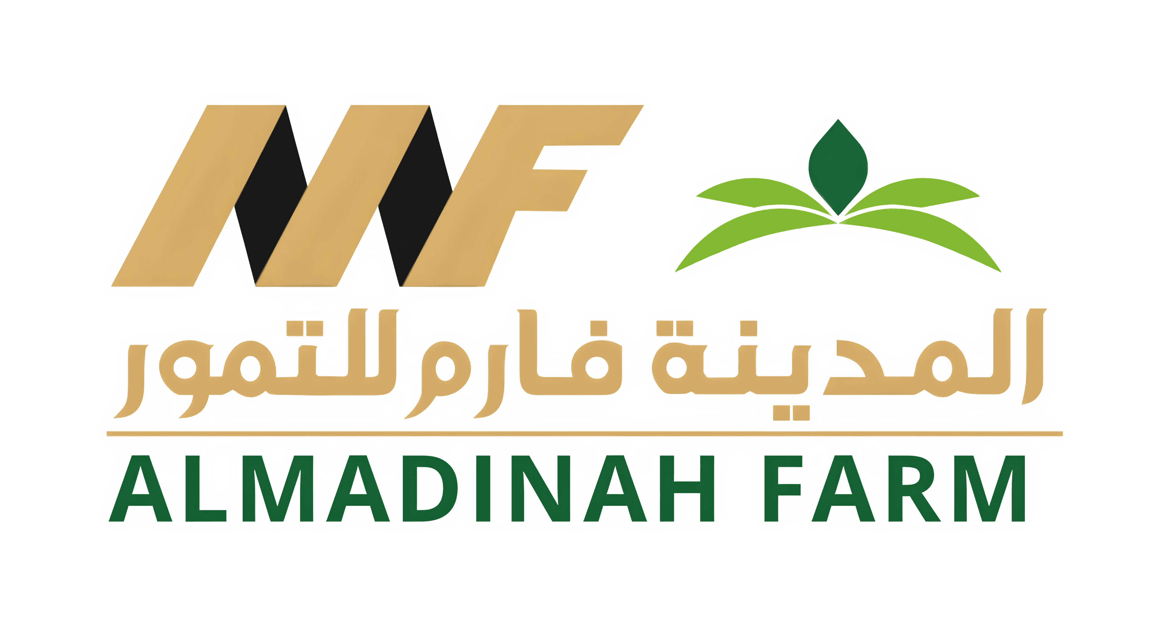 مصنع المدينة فارم للتمور