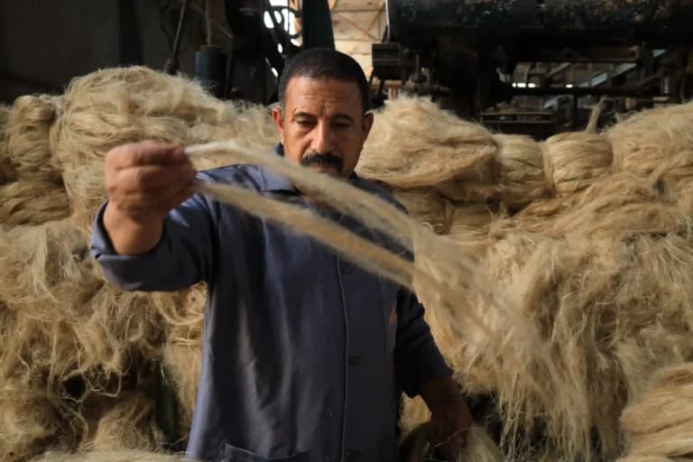 زيوت وبذور