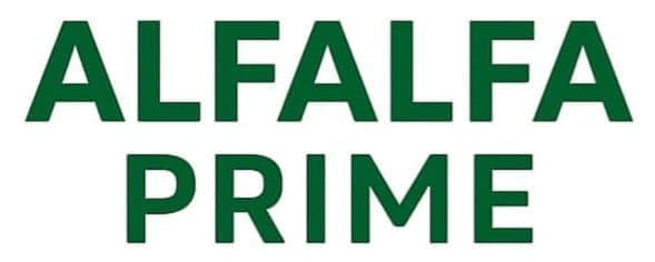 Alfalfa Prime — Forage Seeds