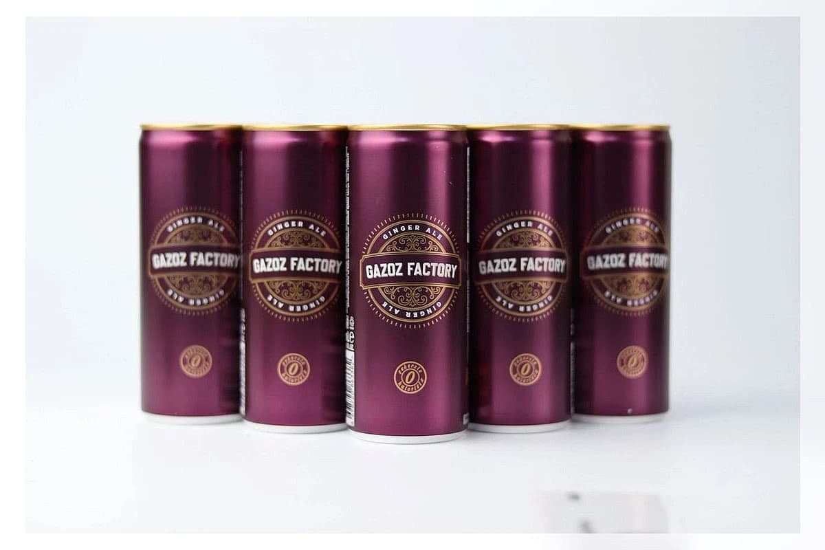 Gazoz Factory — غازوز تركي فاخر (مشروب غازي فوّار)