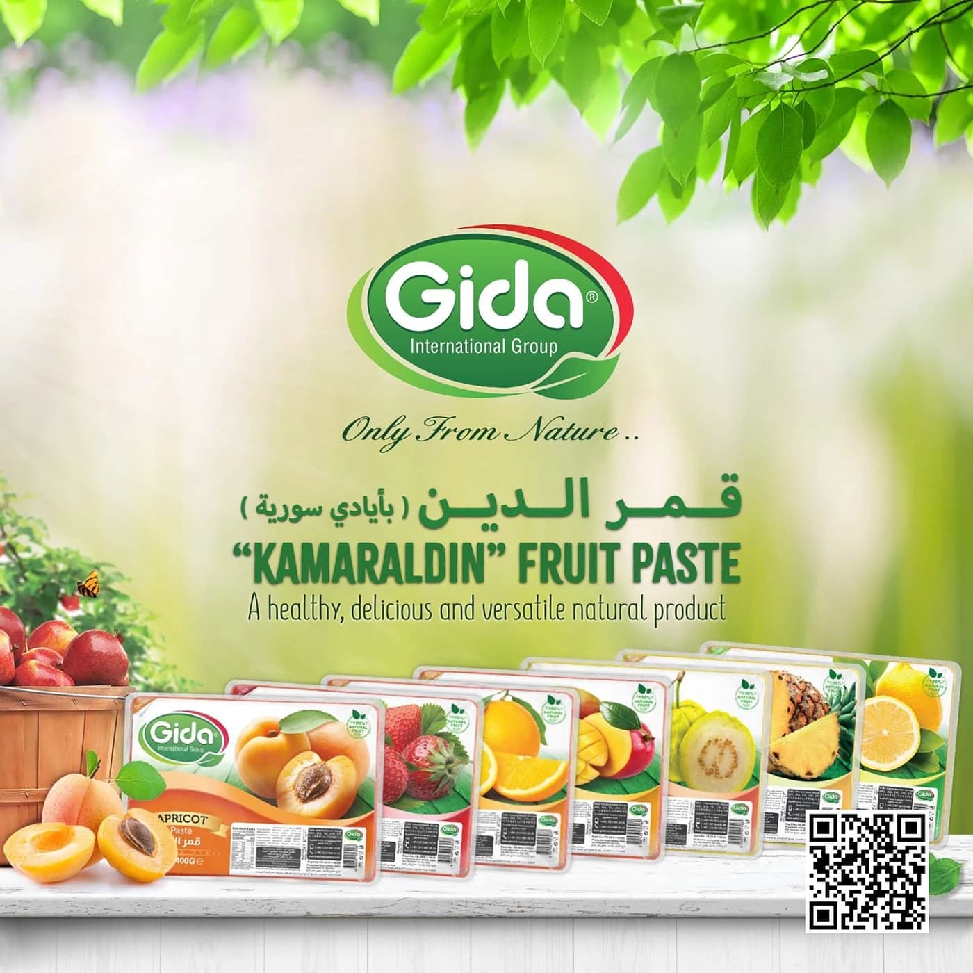 مجموعة غيدا الدولية