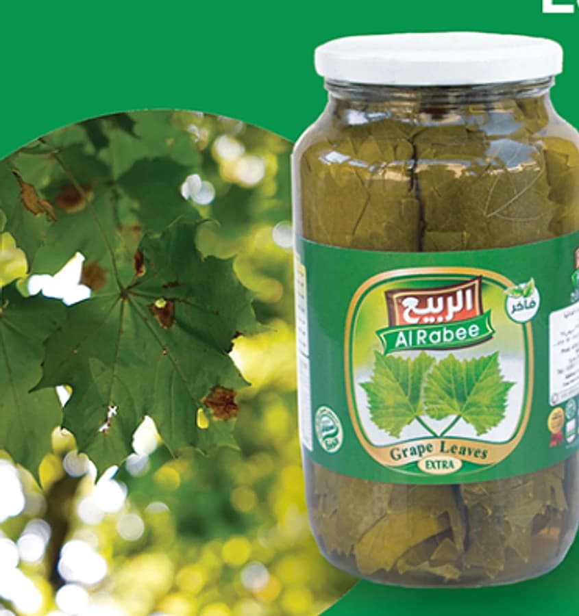 ورق العنب