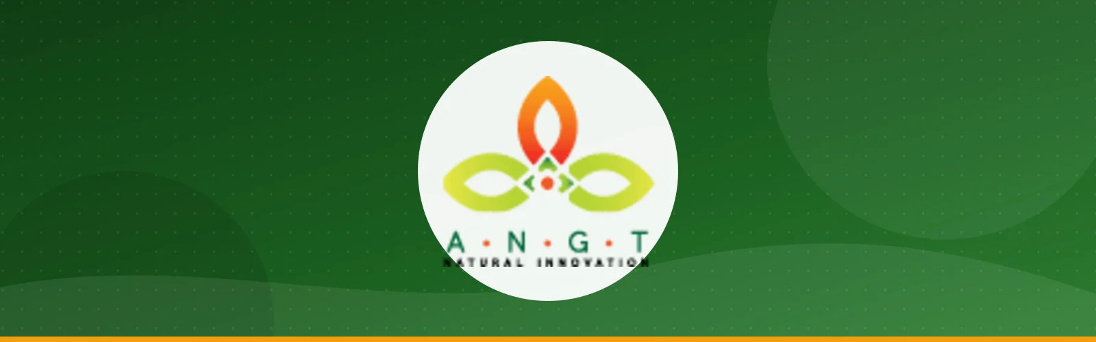 شركة ANGT LLC