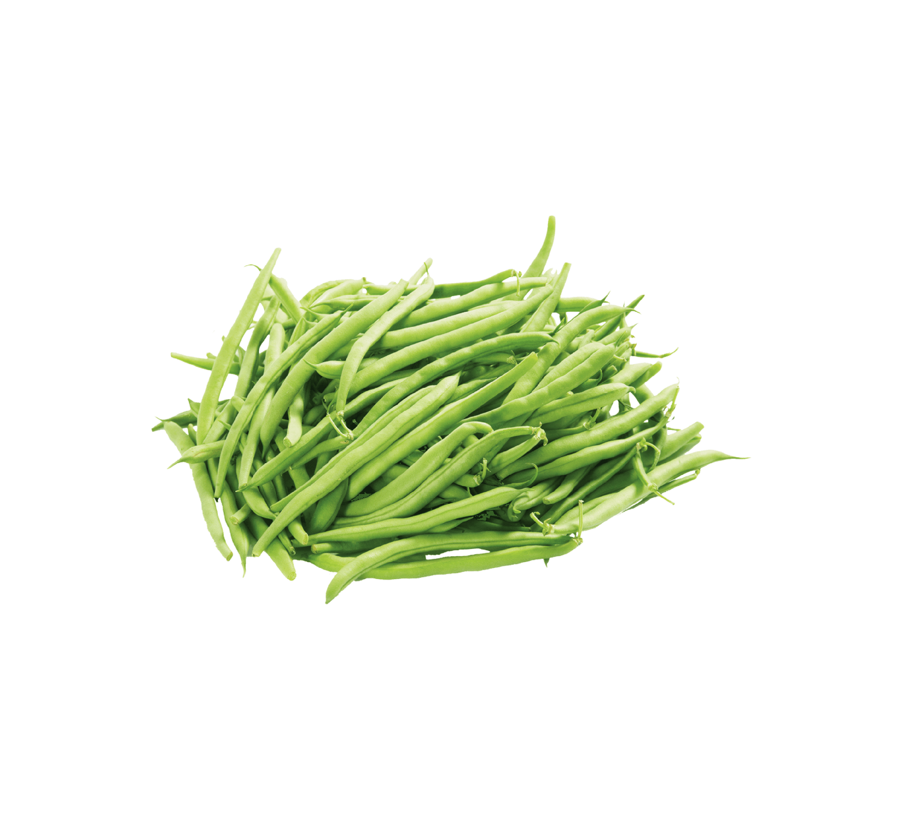 منتجات مجمدة