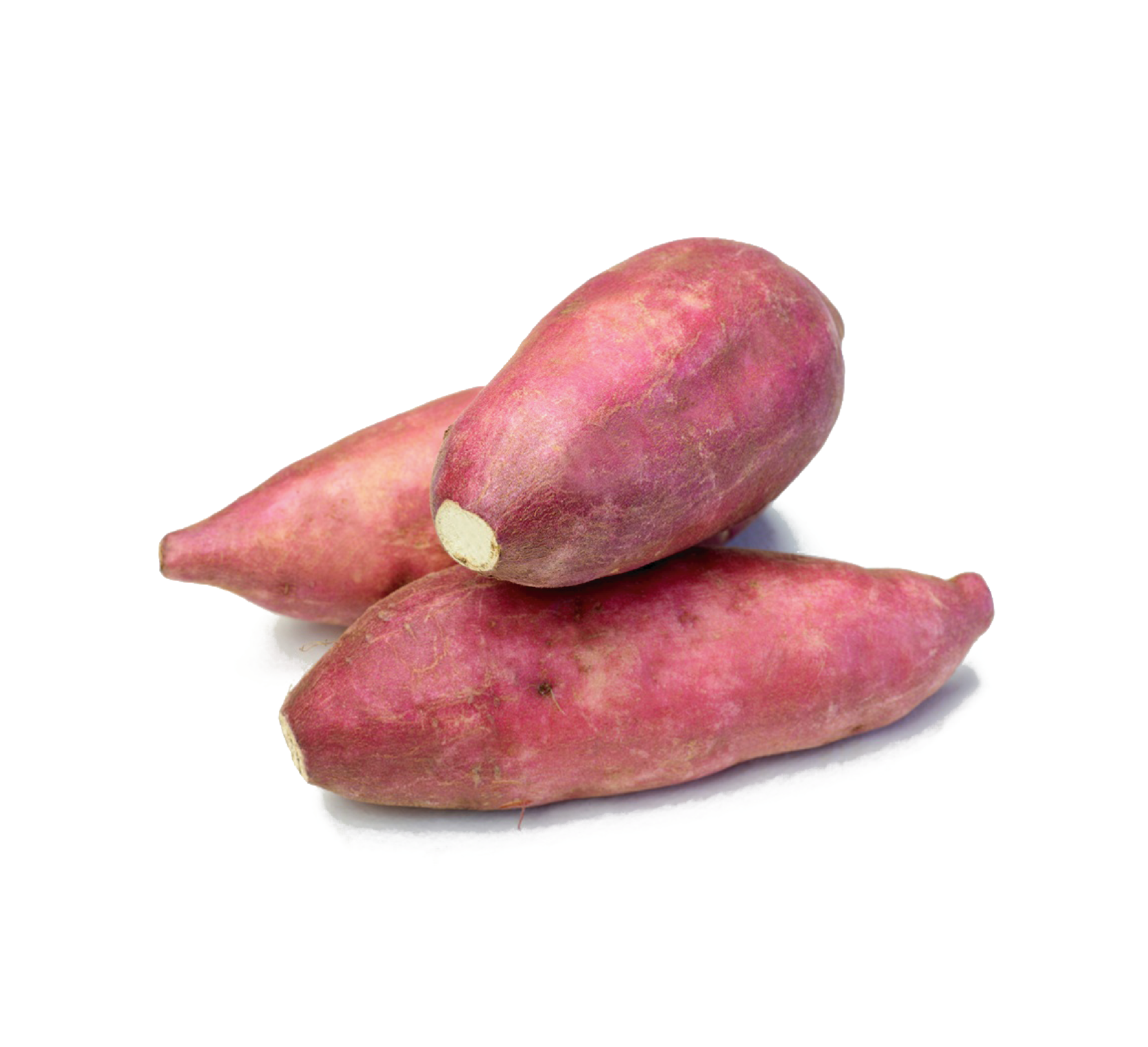 منتجات مجمدة