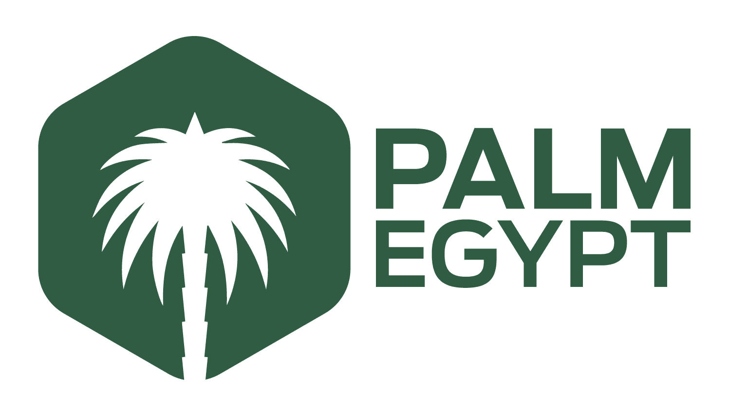 محطة بالم إيجيبت