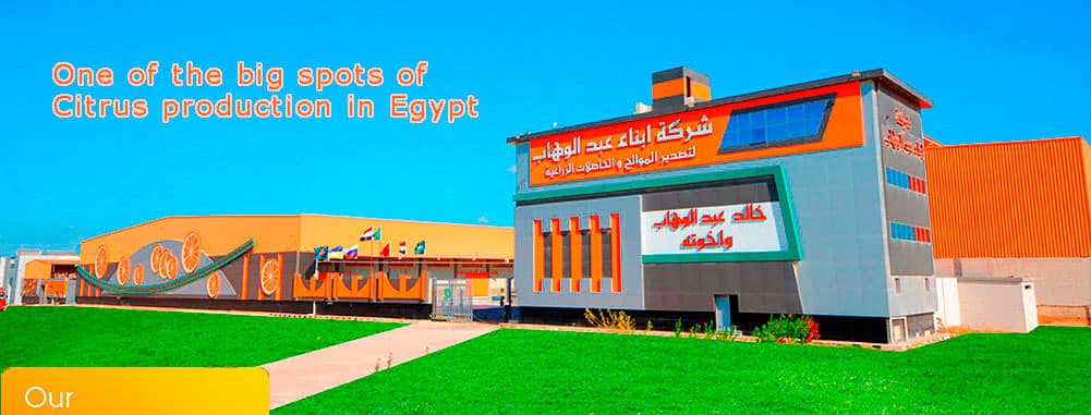 شركة أبناء عبد الوهاب