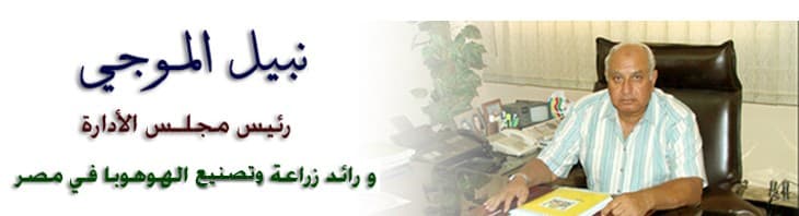 زيت الجوجوبا