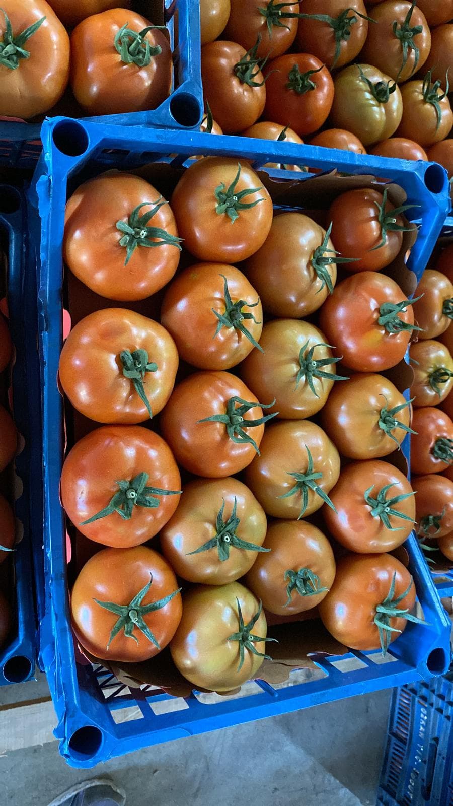 منتجات زراعية