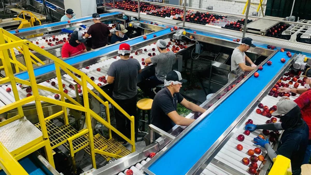 A procurement team inspecting a citrus shipment in a warehouse