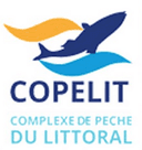 دامسا