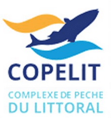 دامسا