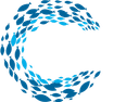 فايف أوشنز