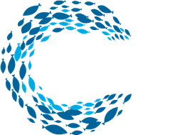 فايف أوشنز