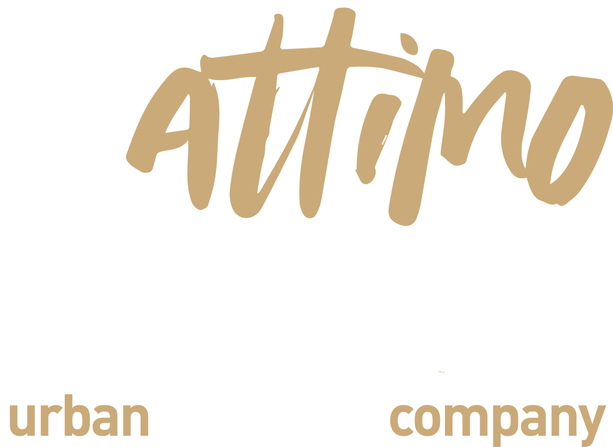 ATTIMO INFORMS