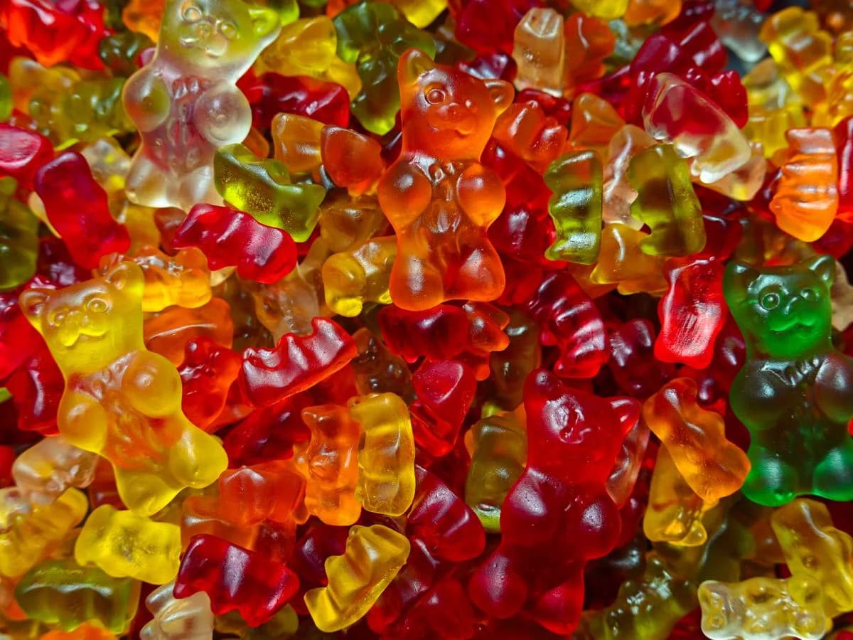 حلوى هاريبو — Haribo