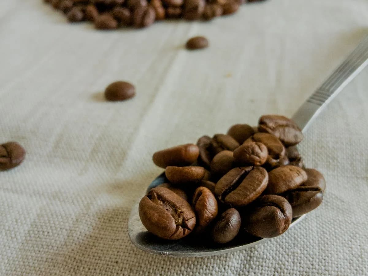 قهوة إيلي — illy