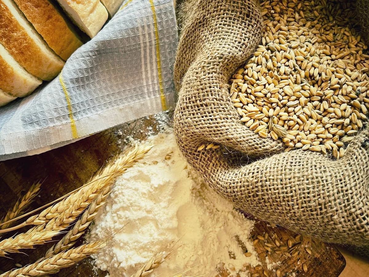دقيق البيتزا كابوتو الإيطالي — Antimo Caputo