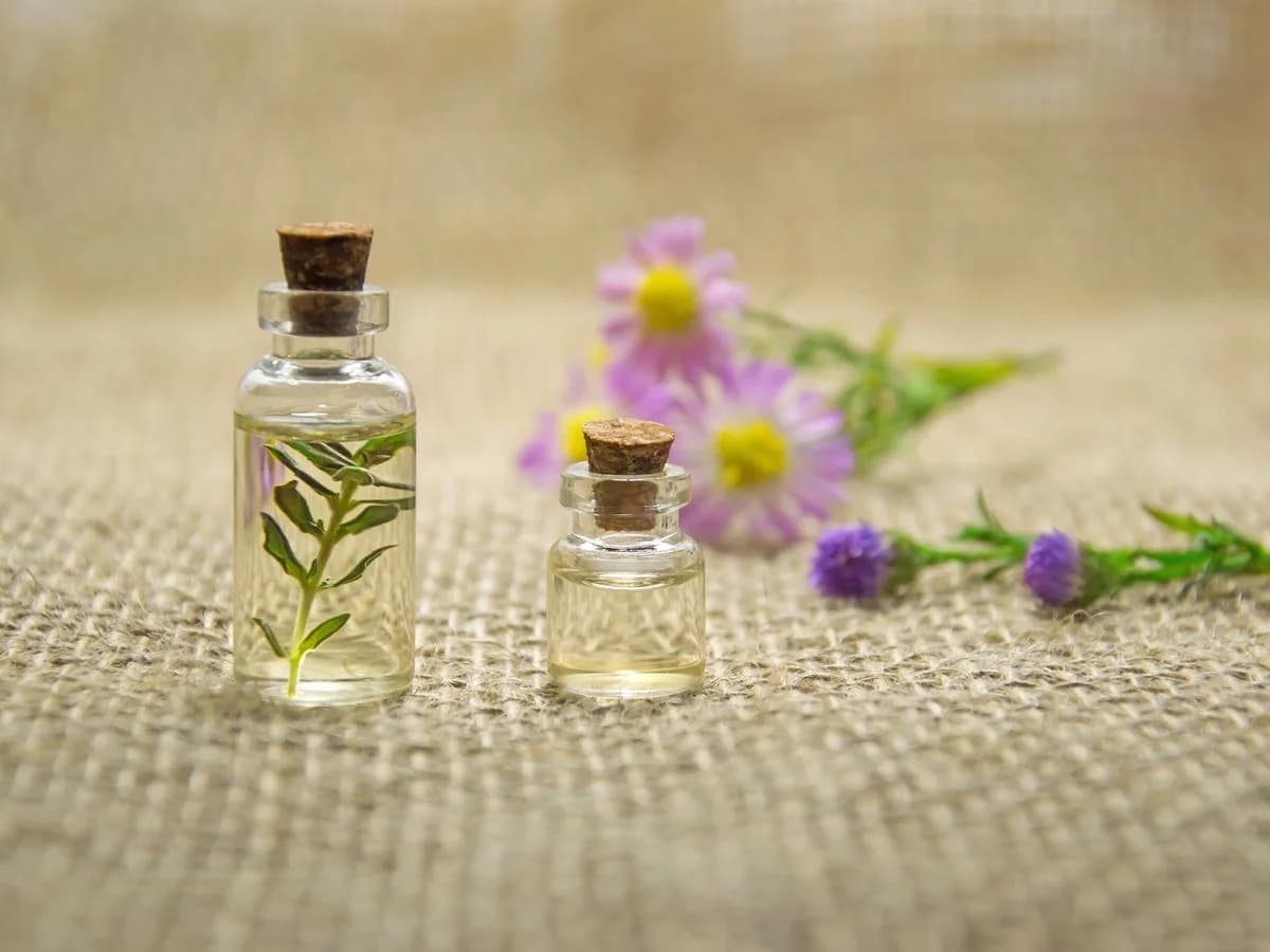 نكهات غذائية «Flavex» – لحم بقر ودجاج ومدخّن ومشوي