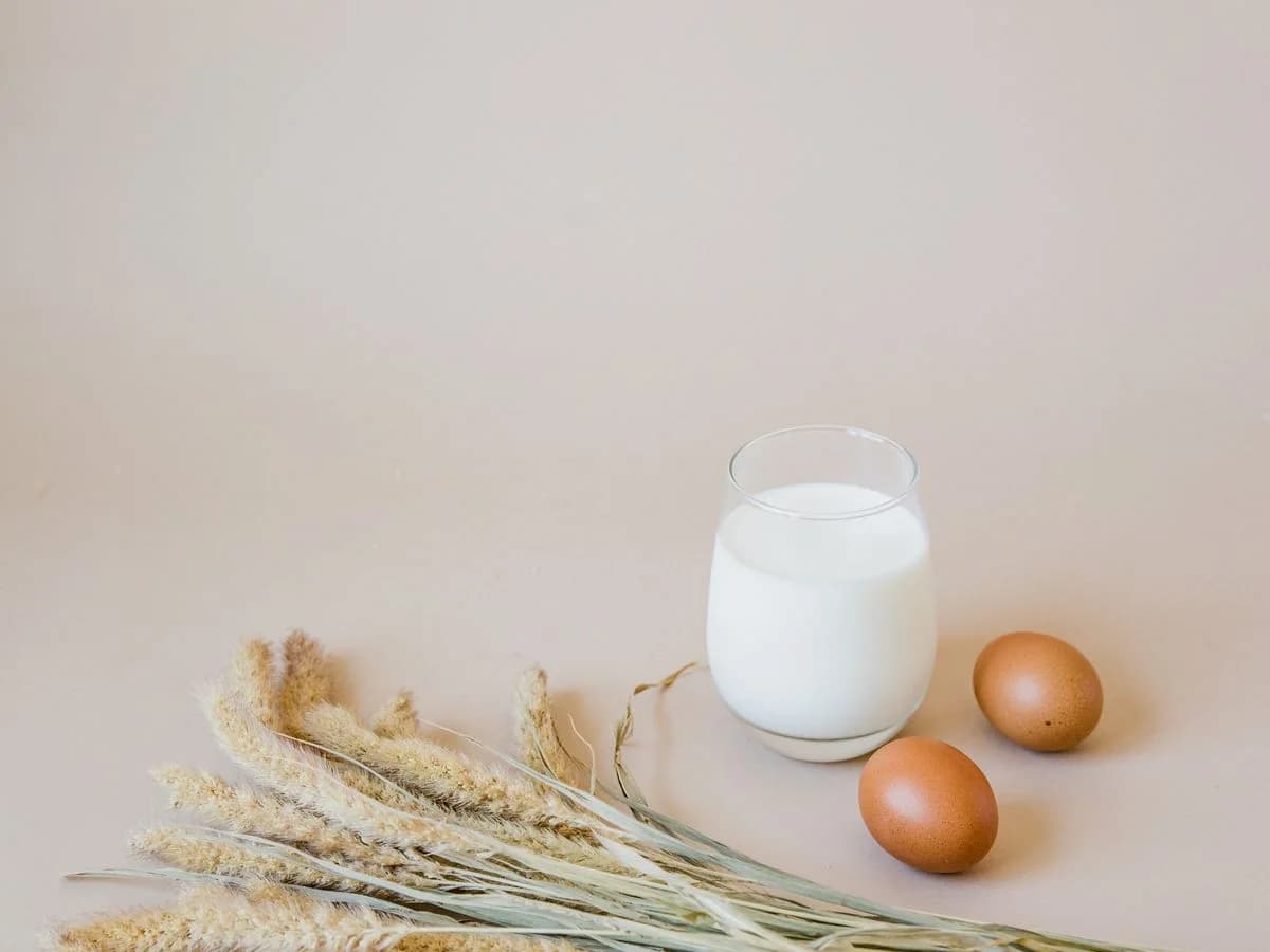 حليب بودرة كامل وقليل الدسم — Milk Powder