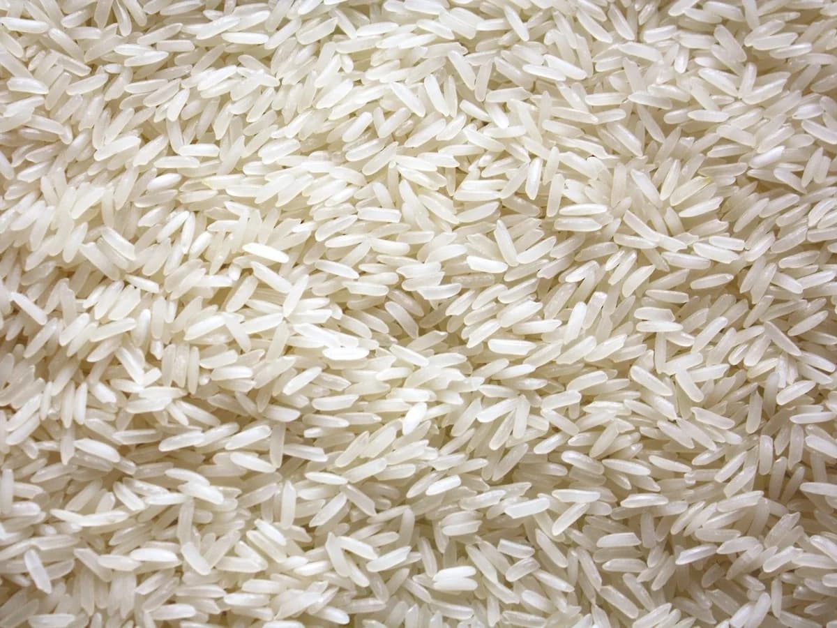 أرز أبو كاس البسمتي — Abu Kass