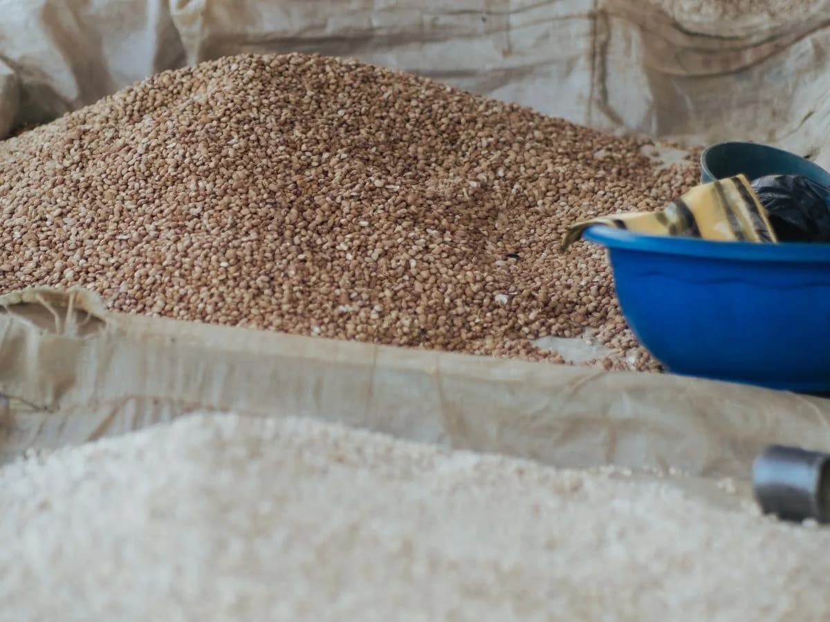 أرز بسمتي وطويل الحبة مستورد