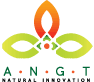 شركة ANGT LLC