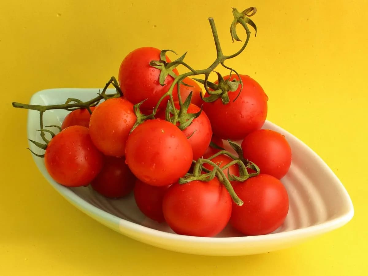 منتجات طماطم بومي — Pomì