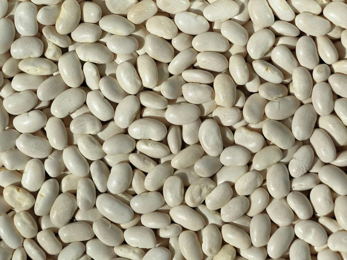 بقوليات دورو — Duru Bakliyat