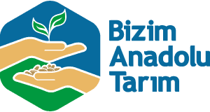 Our Anadolu Food Limited Company