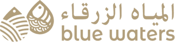 بلو ووترز