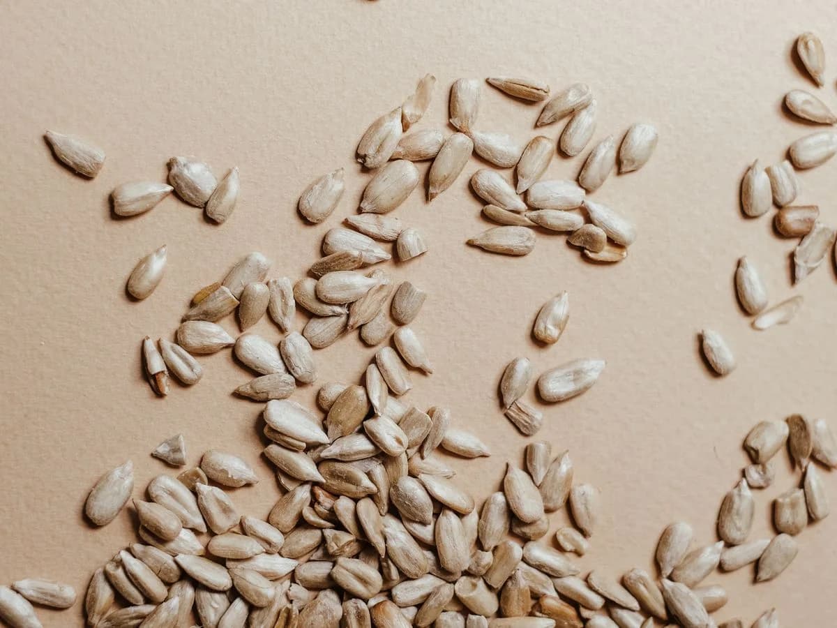 بذور العساف المحمّصة — Al-Assaf Seeds