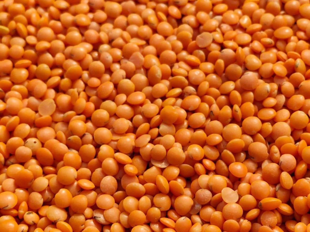 عدس أحمر مجروش