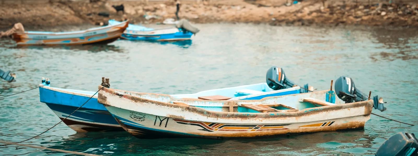 جيبة للمأكولات البحرية