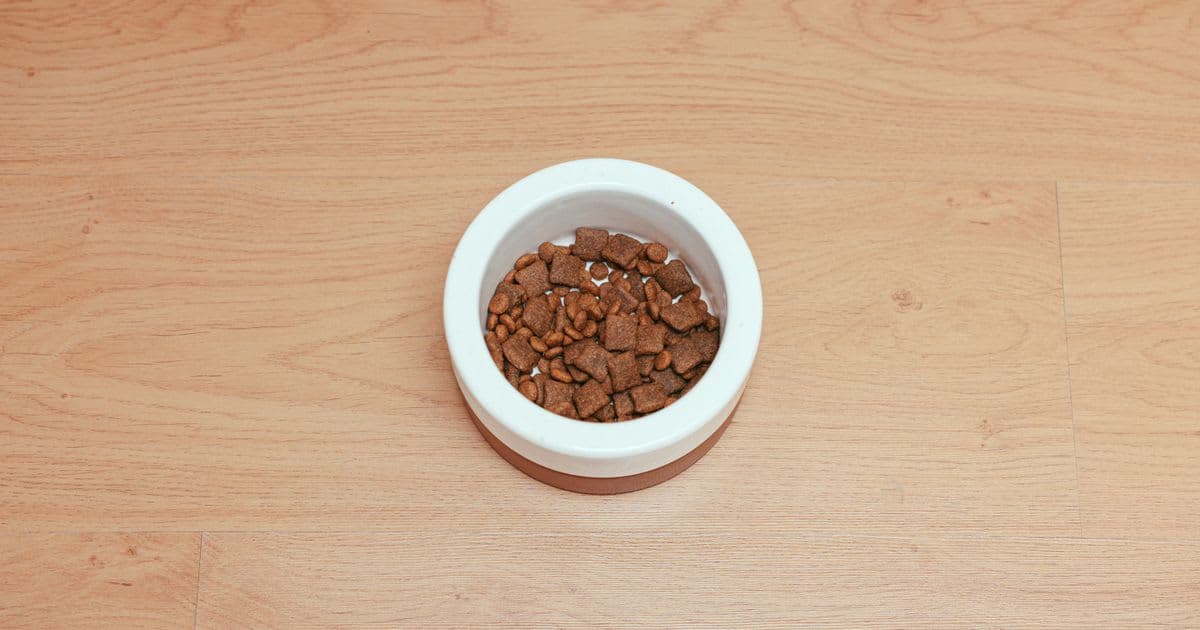 طعام قطط سوبر بريميوم LaVital
