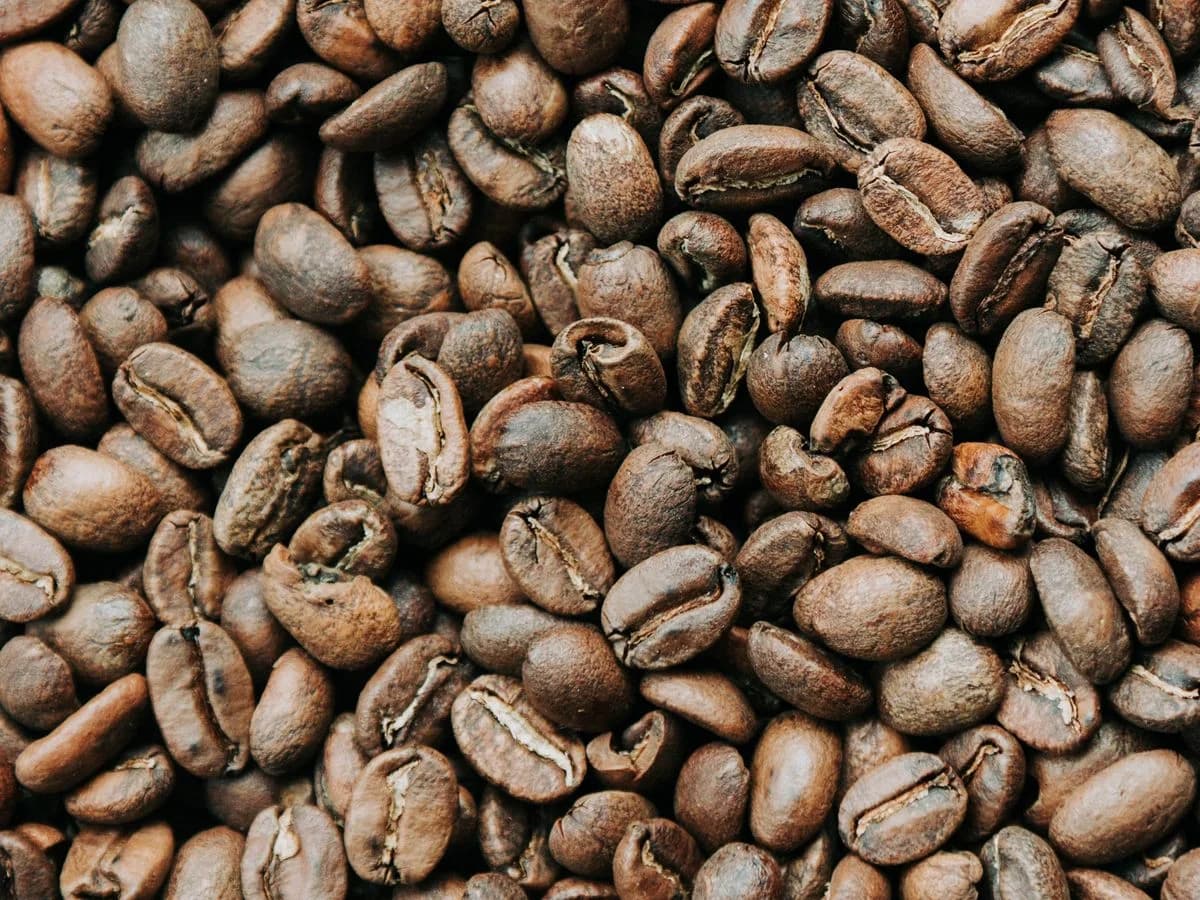 بن إسبريسو إيطالي وقهوة فرنسية وتركية