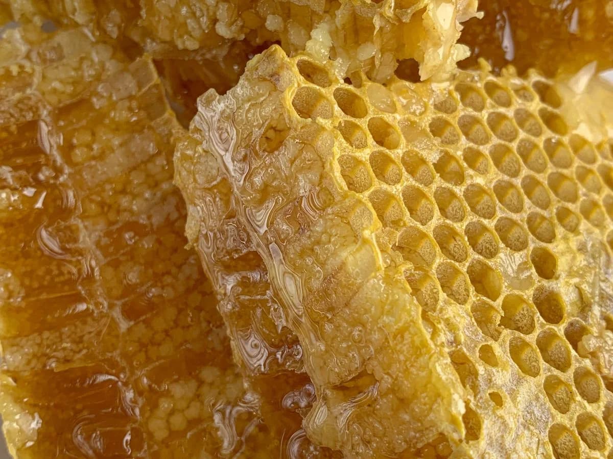 عسل السدر الإماراتي