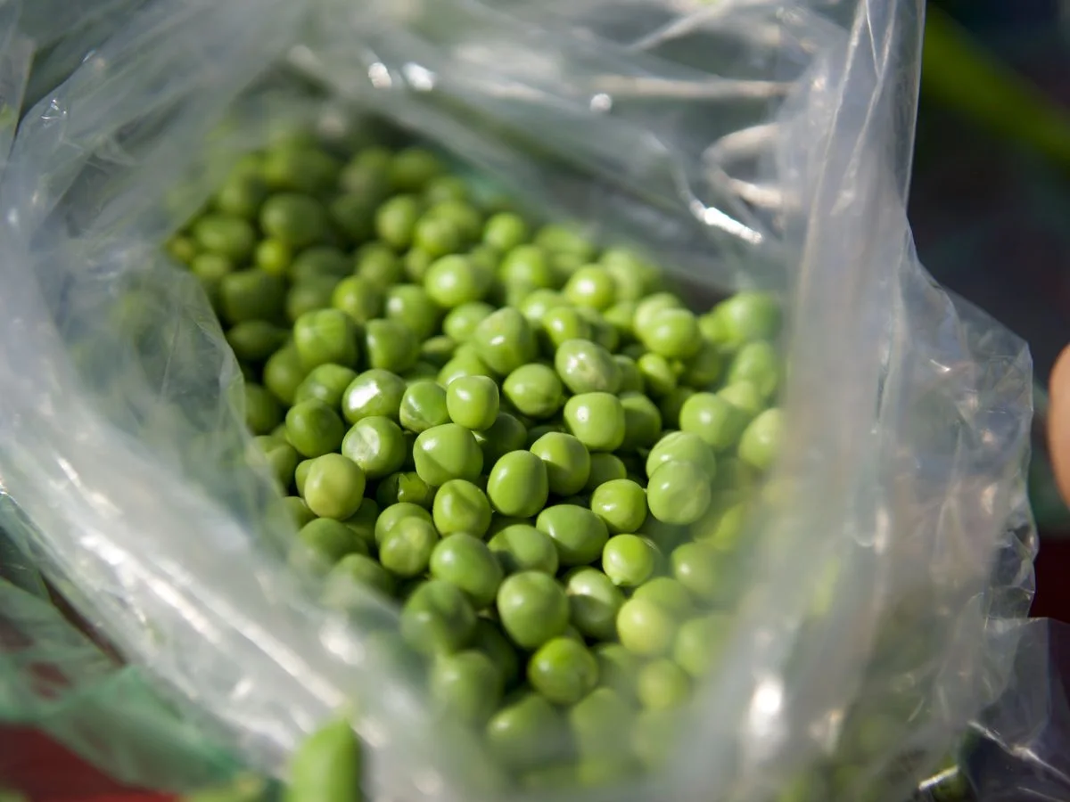 خضر كونخيلادوس دي نافارا المجمّدة — Congelados de Navarra