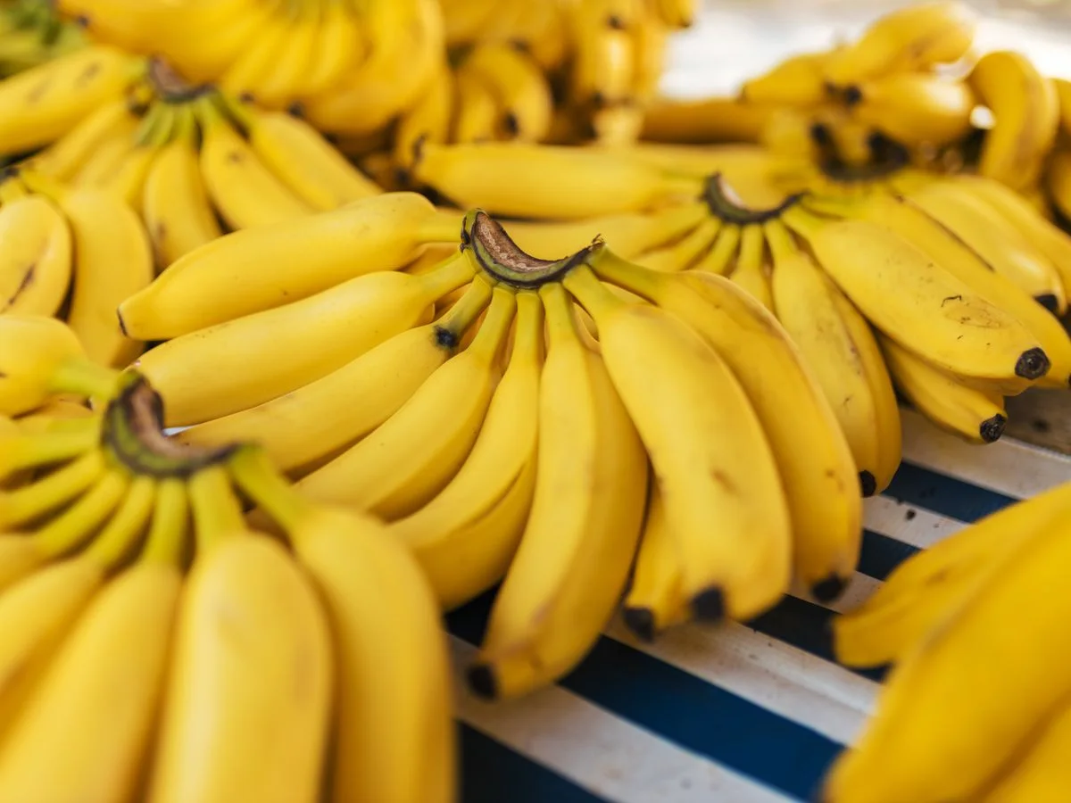 موز تشيكيتا — Chiquita
