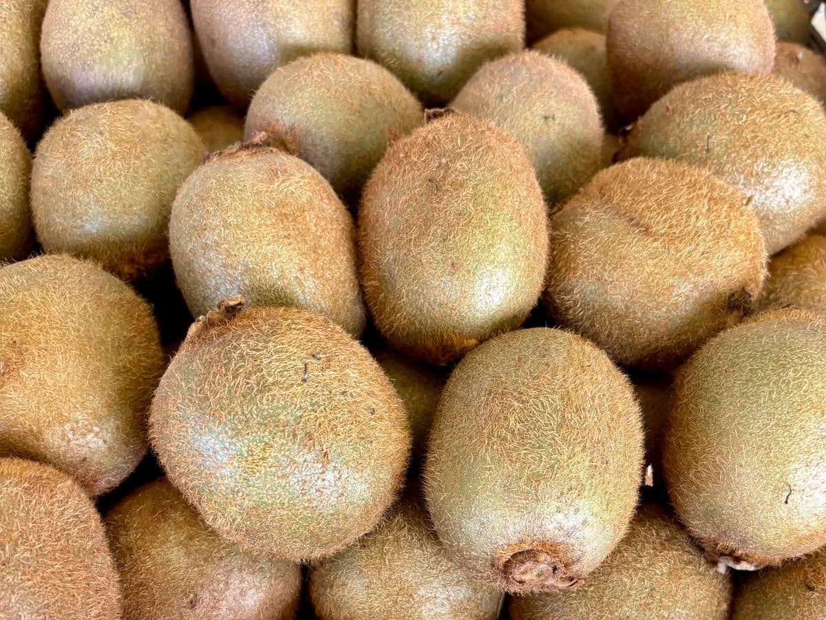 كيوي زيسبري — Zespri