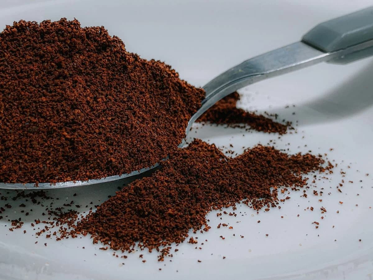نسكافيه ومنتجات نستله بروفيشنال — Nestlé Professional
