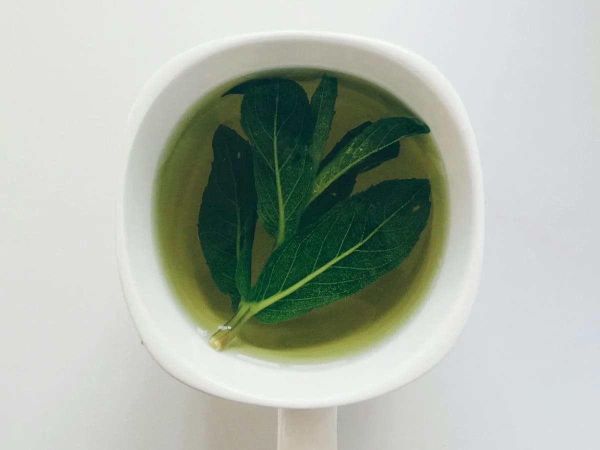 شاي ليبتون الأخضر ومنقوعات الأعشاب — Lipton