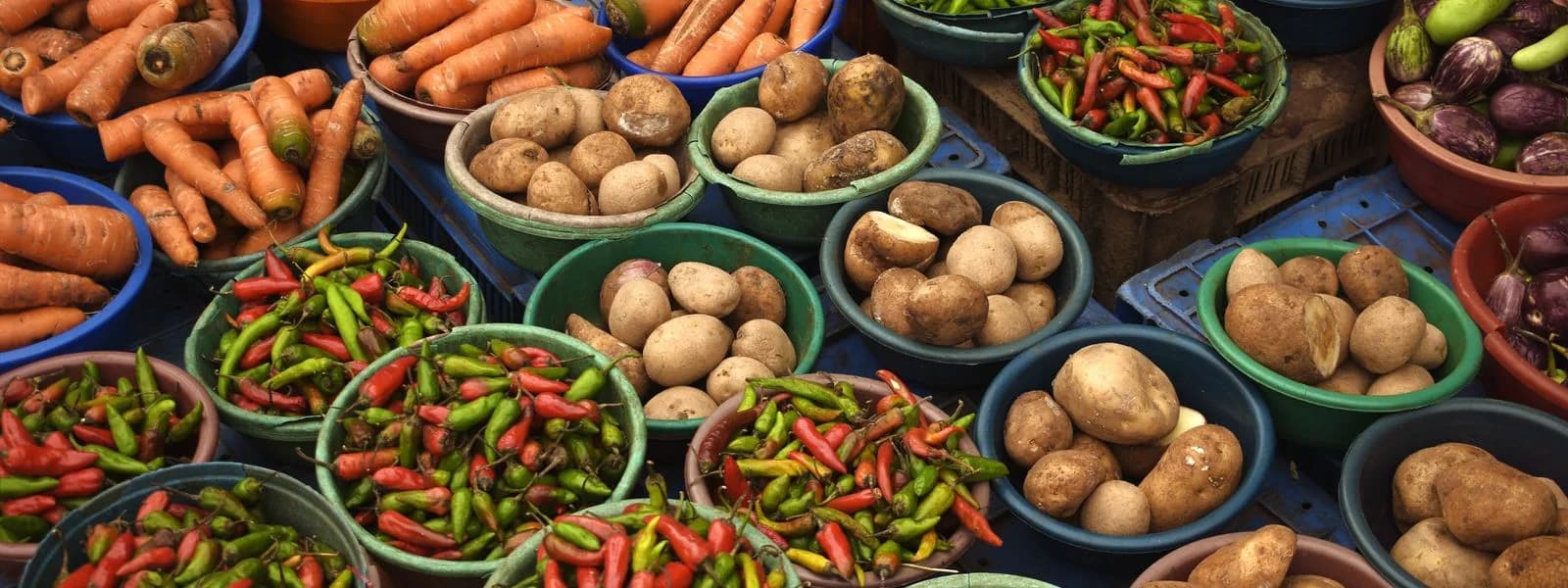 الشركة العراقية البصرية للتجارة العامة