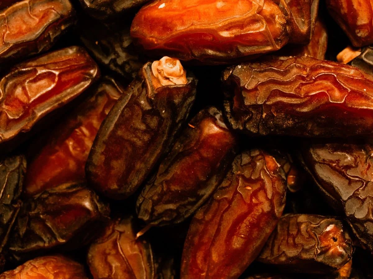 تمور الظفرة — Al Dhafra Dates