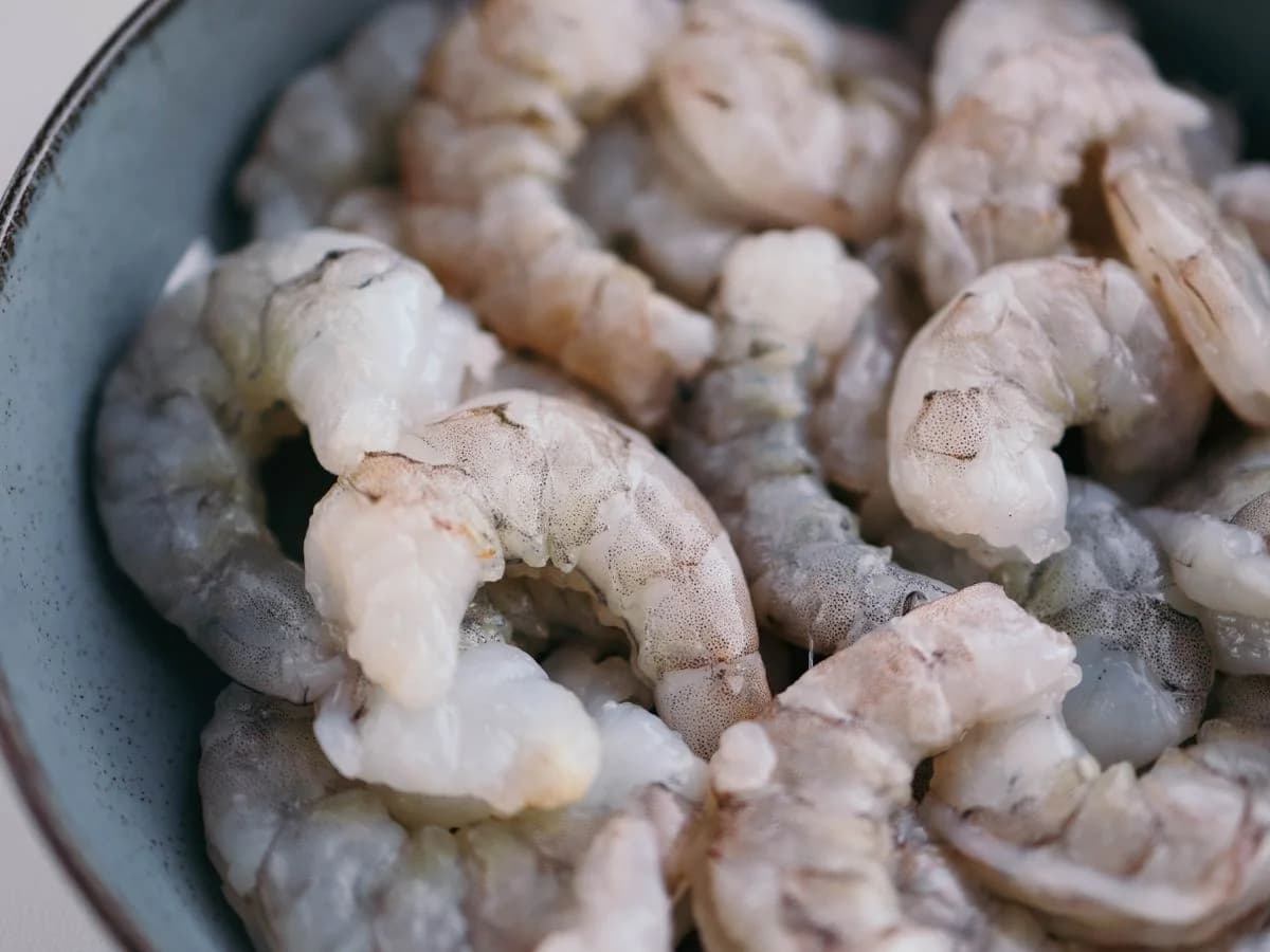أسماك مجمدة (سمك أبيض وسلمون وتونة)