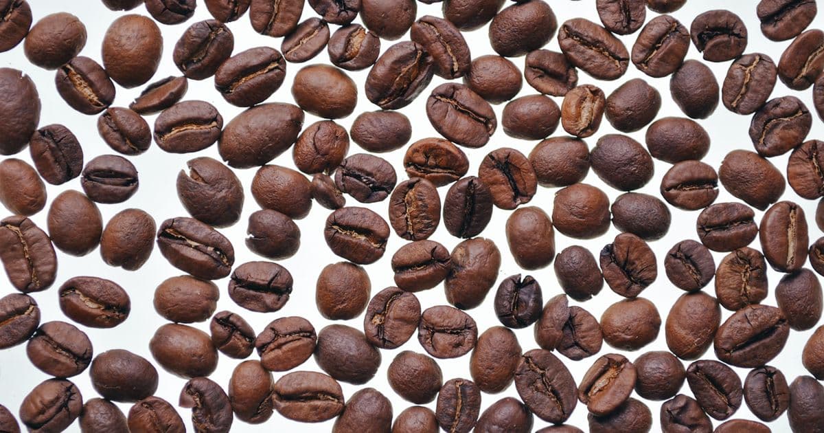 خلاصة القهوة