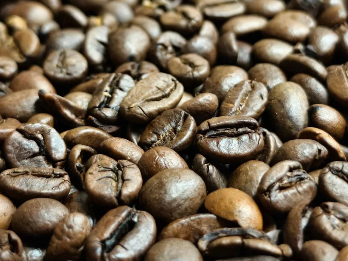 قهوة نسبريسو — Nespresso
